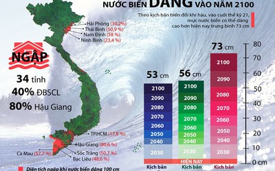 [Infographic] – Nước biển dâng ở Việt Nam