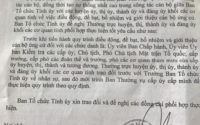 Trưởng ban Tổ chức Tỉnh ủy bị tuýt còi vì ‘lấn sân’ cấp dưới