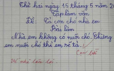 Bài văn của học sinh khiến cô giáo phê ‘cạn lời’