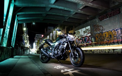 Mẫu naked bike giá rẻ Yamaha MT-03 có gì đặc biệt?