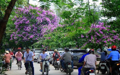 Dự báo thời tiết ngày 9/5: Bắc Bộ mát mẻ, đêm mưa rải rác
