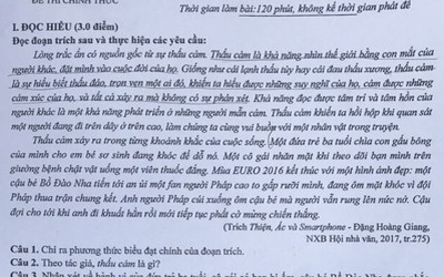 Đề thi Ngữ văn THPT QG: Thí sinh là người chịu thiệt thòi