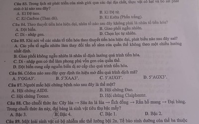 Đề thi tổ hợp Khoa học tự nhiên Vật lý - Hóa học - Sinh học mã 214