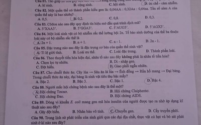 Đề thi tổ hợp Khoa học tự nhiên Vật lý - Hóa học - Sinh học mã 222