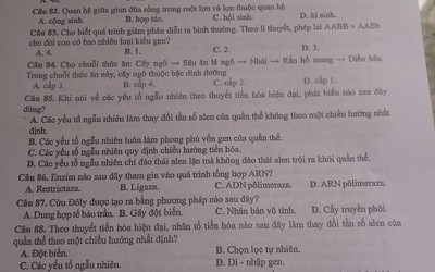 Đáp án đề thi Khoa học Tự nhiên Lý - Hóa - Sinh học mã 224