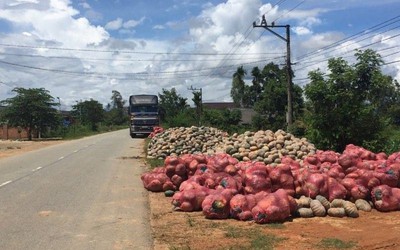 1kg bí ngô không mua được gói mỳ tôm, nông dân chờ... 'giải cứu'