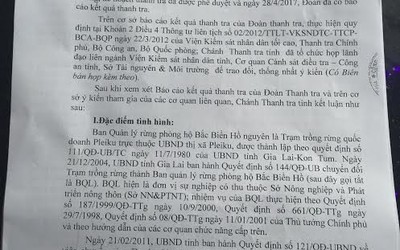 Trưởng phòng bị cáo buộc tham nhũng được lãnh đạo cho phép đi Nhật