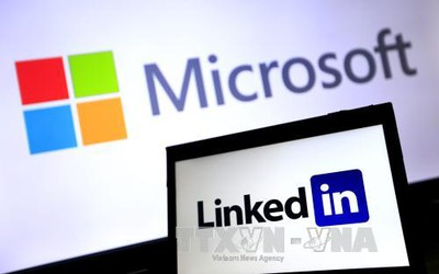 Microsoft sa thải 50.000 nhân viên