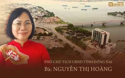 [E] Sự hiện diện của doanh nghiệp FDI trong số hoá nền kinh tế