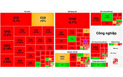 VN-Index mất 13 điểm, cổ phiếu bất động sản "đỏ lửa"