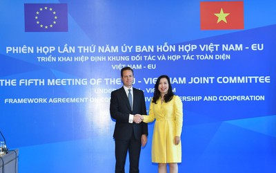 Việt Nam và EU nhất trí sớm nâng cấp quan hệ