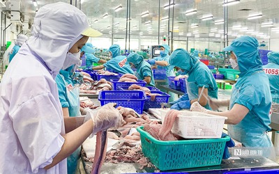 Ngành nông nghiệp có 6 mặt hàng xuất khẩu thuộc nhóm tỷ USD