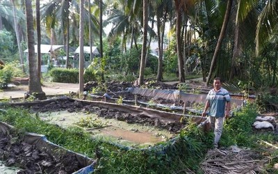 Thầy giáo miền Tây nuôi loài vật "đẻ quanh năm", thu lãi 2 tỷ đồng/năm rất nhẹ nhàng