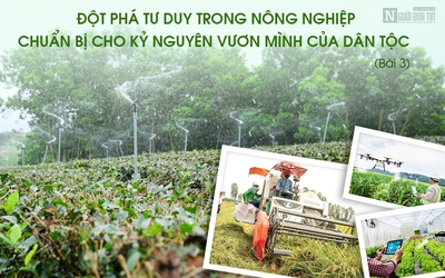 [E] Đột phá tư duy trong nông nghiệp - Bài 3: “Ngọn đèn” dẫn đường của nông dân