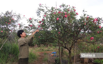 Khởi nghiệp từ những món quà tặng mẹ, chàng trai 9X mang về doanh thu “khủng”