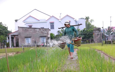 Hội nghị quốc tế về Du lịch nông thôn 2024: Quảng Nam là điểm đến toàn cầu