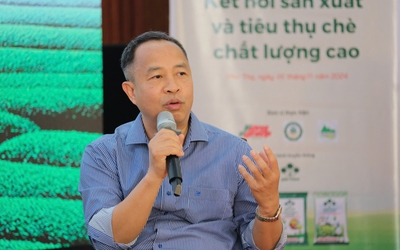 CEO Trà Cozy: Cây chè không còn là cây xóa đói giảm nghèo