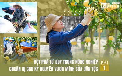 [E] Đột phá tư duy trong nông nghiệp - Bài 1: Đổi mới là hành trình không ngừng nghỉ