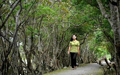 "Nhân bản" khu rừng ngập mặn nguyên sinh duy nhất trên hệ đầm phá lớn nhất Đông Nam Á