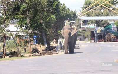 Người M’Nông bên hồ Lắk - Bài 2: "Đổi đời" nhờ phát triển du lịch