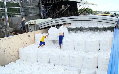 Philippines dự kiến nhập 4,5 triệu tấn gạo, cơ hội lớn cho doanh nghiệp Việt Nam