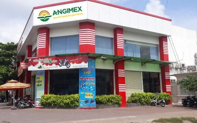 Angimex sắp bán 7 tài sản đảm bảo để lấy tiền trả nợ cho trái chủ