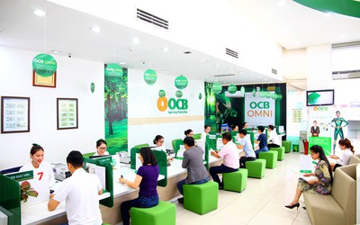 14 cổ đông tổ chức nắm hơn 50% vốn tại OCB