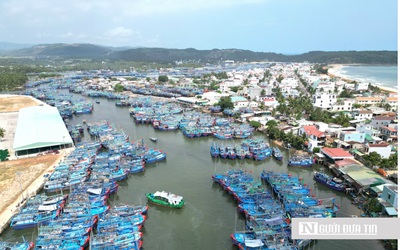 Bình Định thu hồi giấy phép khai thác thủy sản của tàu cá "3 không"