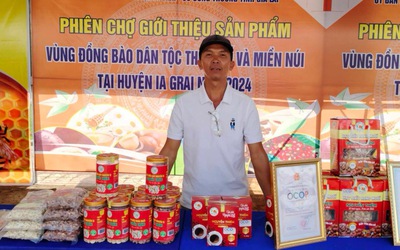 Anh nông dân ươm mầm tre Bắc trên Tây Nguyên, thu tiền tỷ mỗi năm