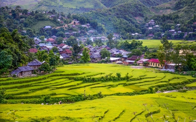 "Làn gió" mới từ chuyển đổi sản xuất nông nghiệp ở Điện Biên