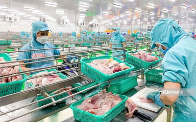 Ngành nông nghiệp xuất siêu trên 68% trong 8 tháng đầu năm