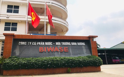 Cuộc viễn chinh ngành nước của Biwase