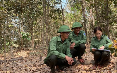 Nhọc nhằn nghề gác rừng - Bài 2: Những "bóng hồng khắc tinh" của lâm tặc