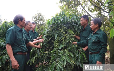 Chuyện lập nghiệp của những cựu binh “tàn nhưng không phế”