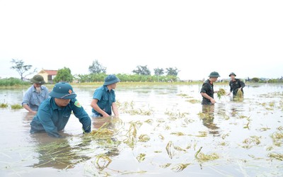 Hà Nội: Báo động lũ mức 1 trên sông Đà tại địa phận Ba Vì