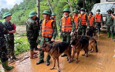 Lào Cai: Chó nghiệp vụ tham gia tìm kiếm các nạn nhân ở Làng Nủ