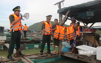 Bình Định ứng phó hiểm họa bão lũ (kỳ 2): Chủ động phòng lũ lớn