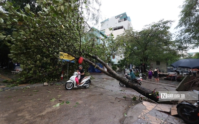 Doanh nghiệp lữ hành hủy hàng loạt tour du lịch để tránh siêu bão