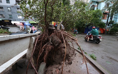 Siêu bão Yagi: Hàng loạt cây ở Hà Nội bật gốc, nhiều tuyến phố ùn tắc kéo dài