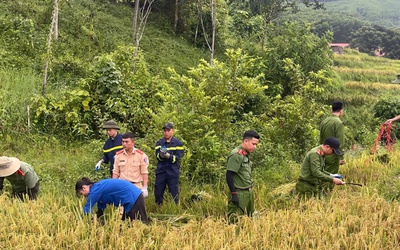 Hình ảnh đẹp: Chiến sĩ công an, đoàn thanh niên xuống đồng gặt lúa giúp dân “chạy” bão