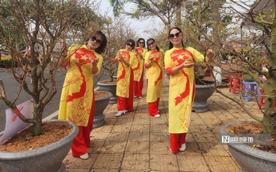 "Check-in" chợ hoa Xuân Bình Phước