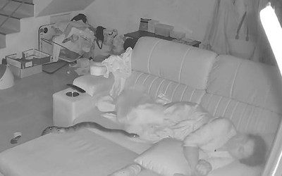 Trăn dài 3 mét bò lên chân cụ bà đang ngủ trên ghế sofa và cái kết