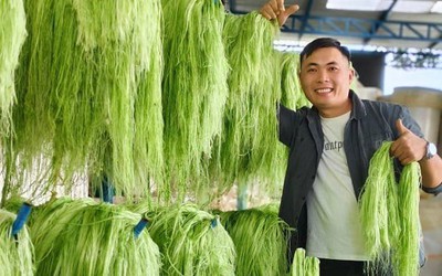 Gỡ bỏ sợi dây níu chân start-up Việt