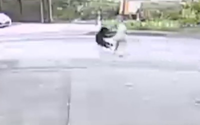 Cụ bà bị gấu dữ tấn công giữa đường và cái kết thót tim