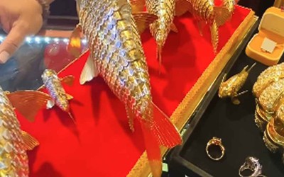 Mang số vàng giữ suốt 18 năm đi kiểm tra, người đàn ông sốc nặng khi biết giá trị