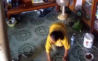 Người phụ nữ chạm trán rắn hổ mang ngay trong nhà và cái kết
