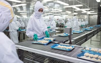 Tổng Giám đốc Fimex xin nghỉ sau gần 3 thập kỷ