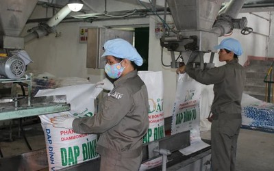 DAP - VINACHEM (DDV) báo lãi quý III cao kỷ lục, gấp 11 lần cùng kỳ