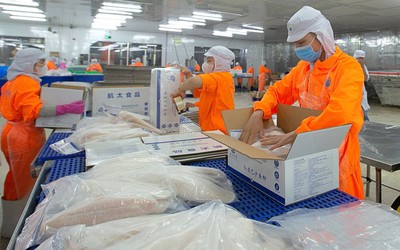 Doanh thu vượt 2.000 tỷ đồng, Thủy sản Nam Việt báo lãi tăng chục lần