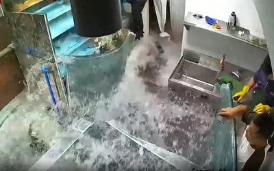 Bể cá khổng lồ trong nhà hàng bất ngờ vỡ tung